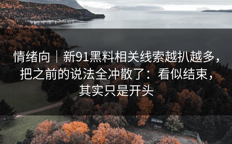 情绪向｜新91黑料相关线索越扒越多，把之前的说法全冲散了：看似结束，其实只是开头